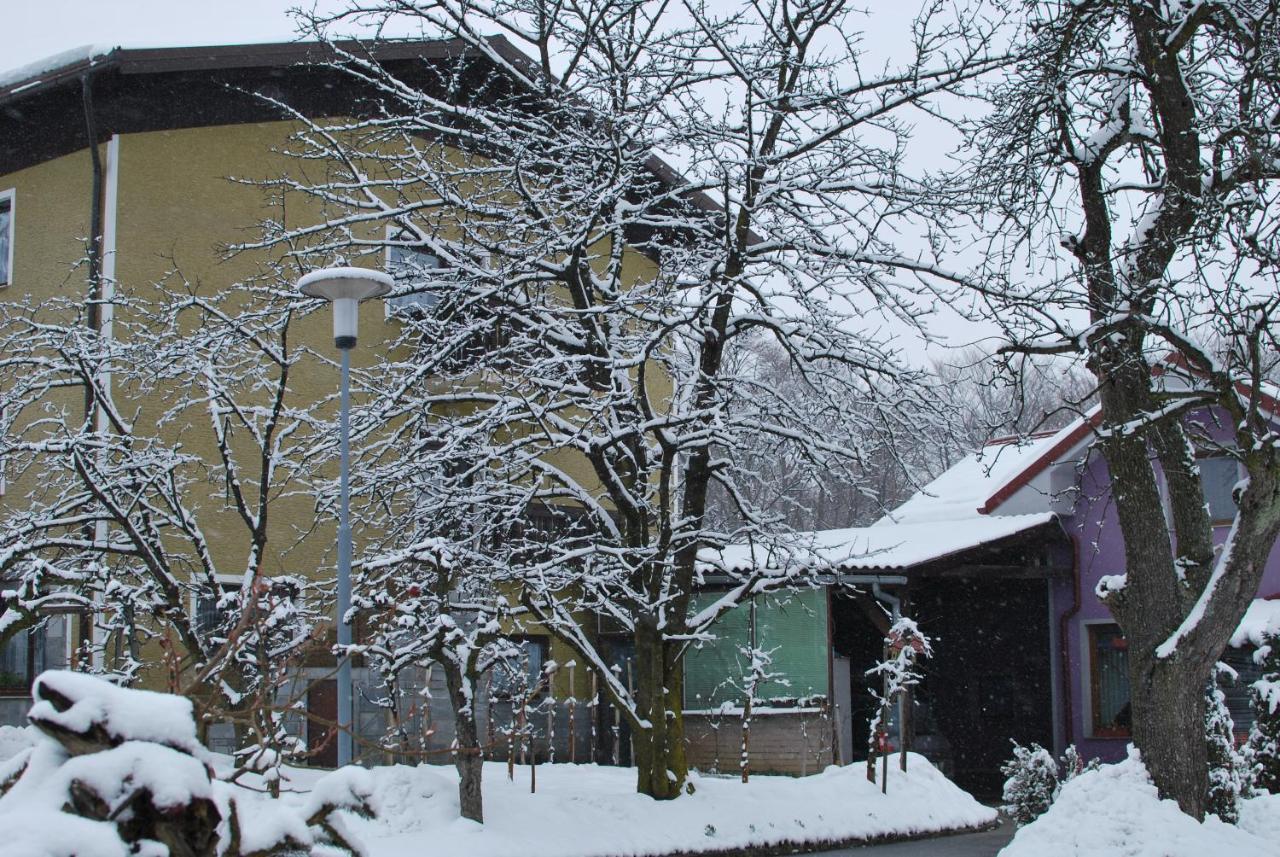 Farm Stay Bogsa Ormoz Exterior photo